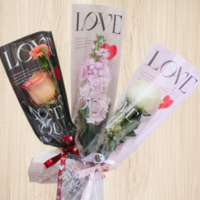 PAPEL DECORATIVO VE